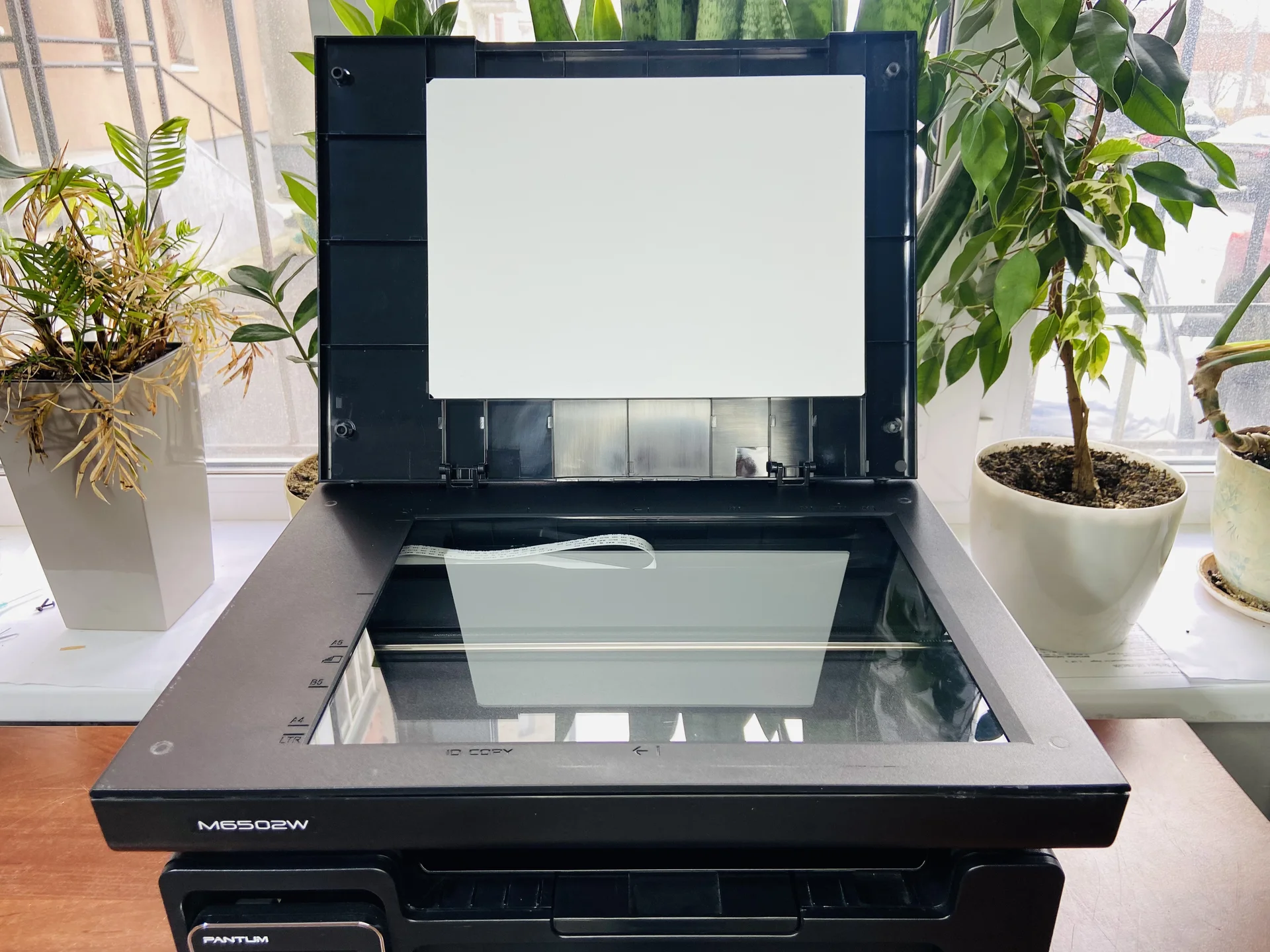 МФУ Pantum M6502W(Принтер/Копир/Сканер) - миниатюра 4