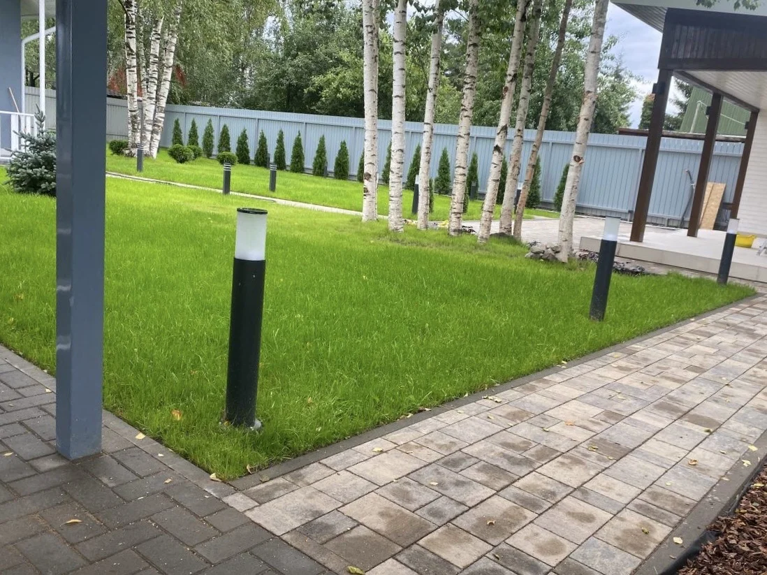 Устройство газона. Посевной газон. Рулонный газон - миниатюра 6
