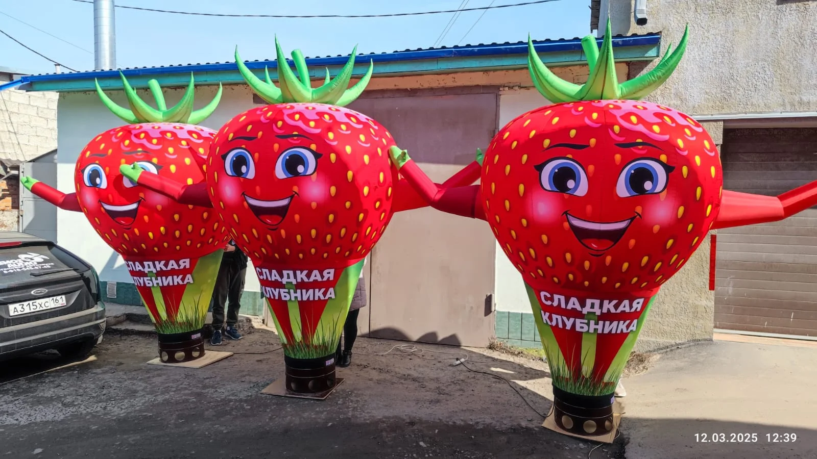 Надувные фигуры ФРУКТЫ - миниатюра 15
