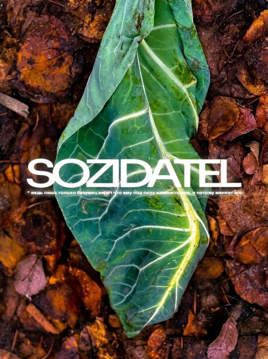 Набор постеров SOZIDATEL 3 шт - миниатюра 2