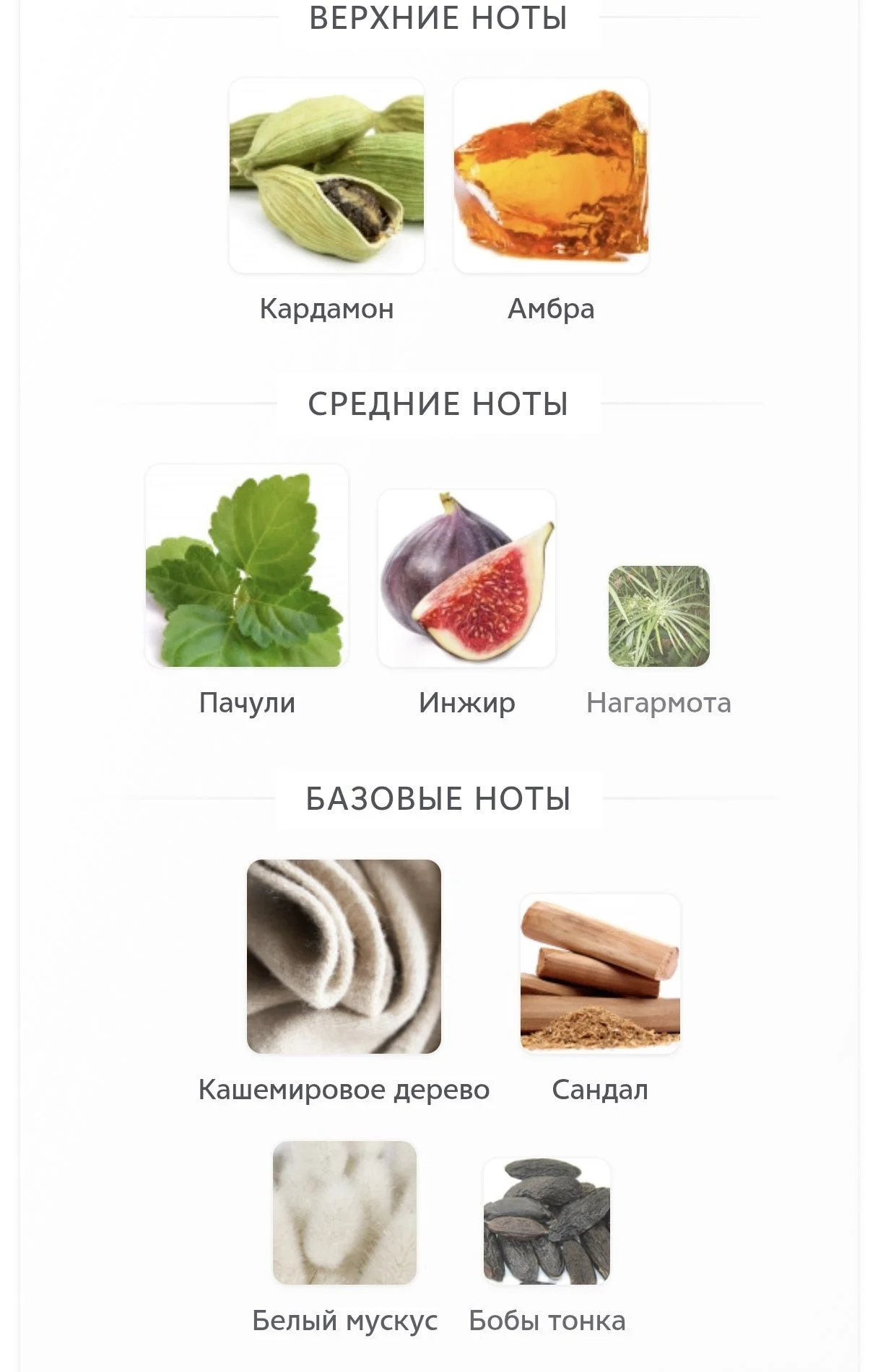 Оригинальный парфюм Ajmal Chapter 1 распив - миниатюра 7