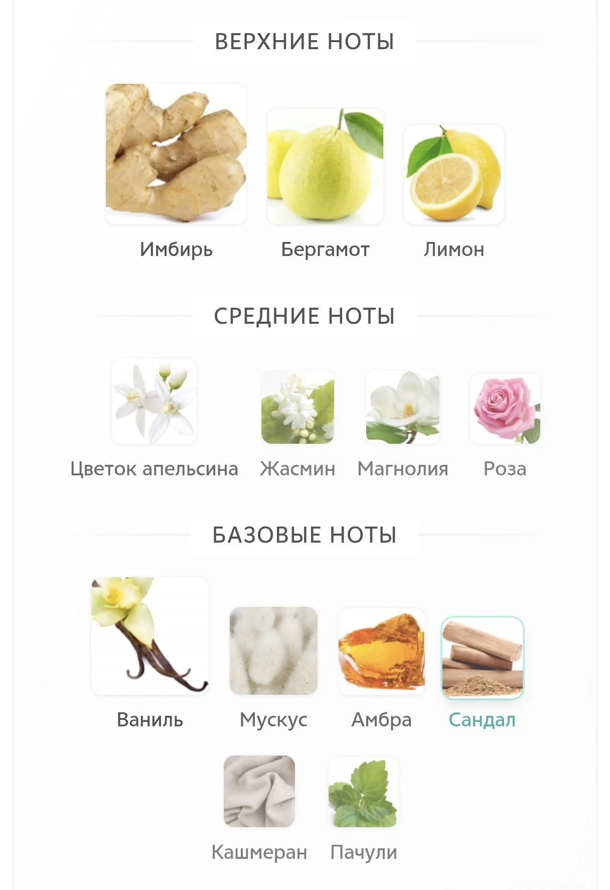 Оригинальный парфюм French Avenue Ravine Ginger - миниатюра 6