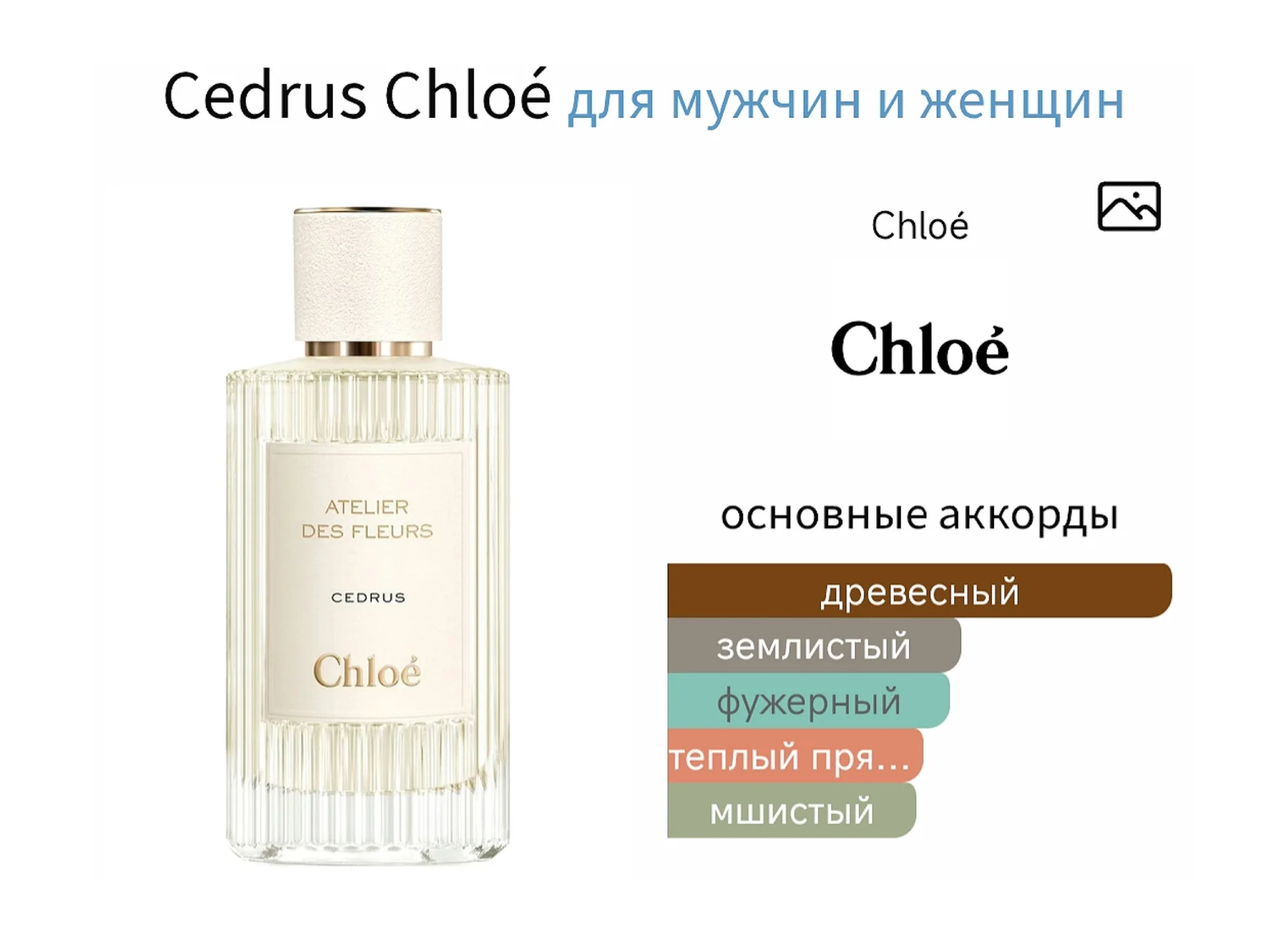 Chloe Atelier Des Fleurs CEDRUS / РАСПИВ - миниатюра 2