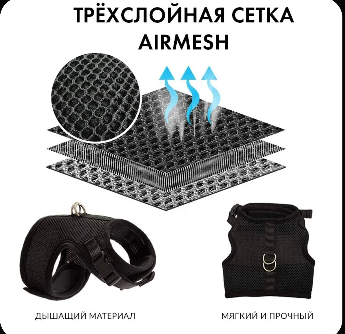 Шлейка и поводок для кошки/собаки - миниатюра 8