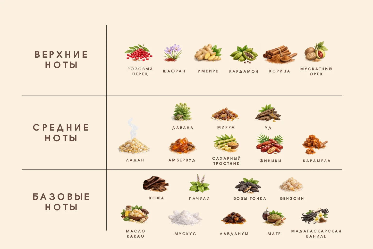 French Avenue Cocoa Morado оригинал распив - миниатюра 4