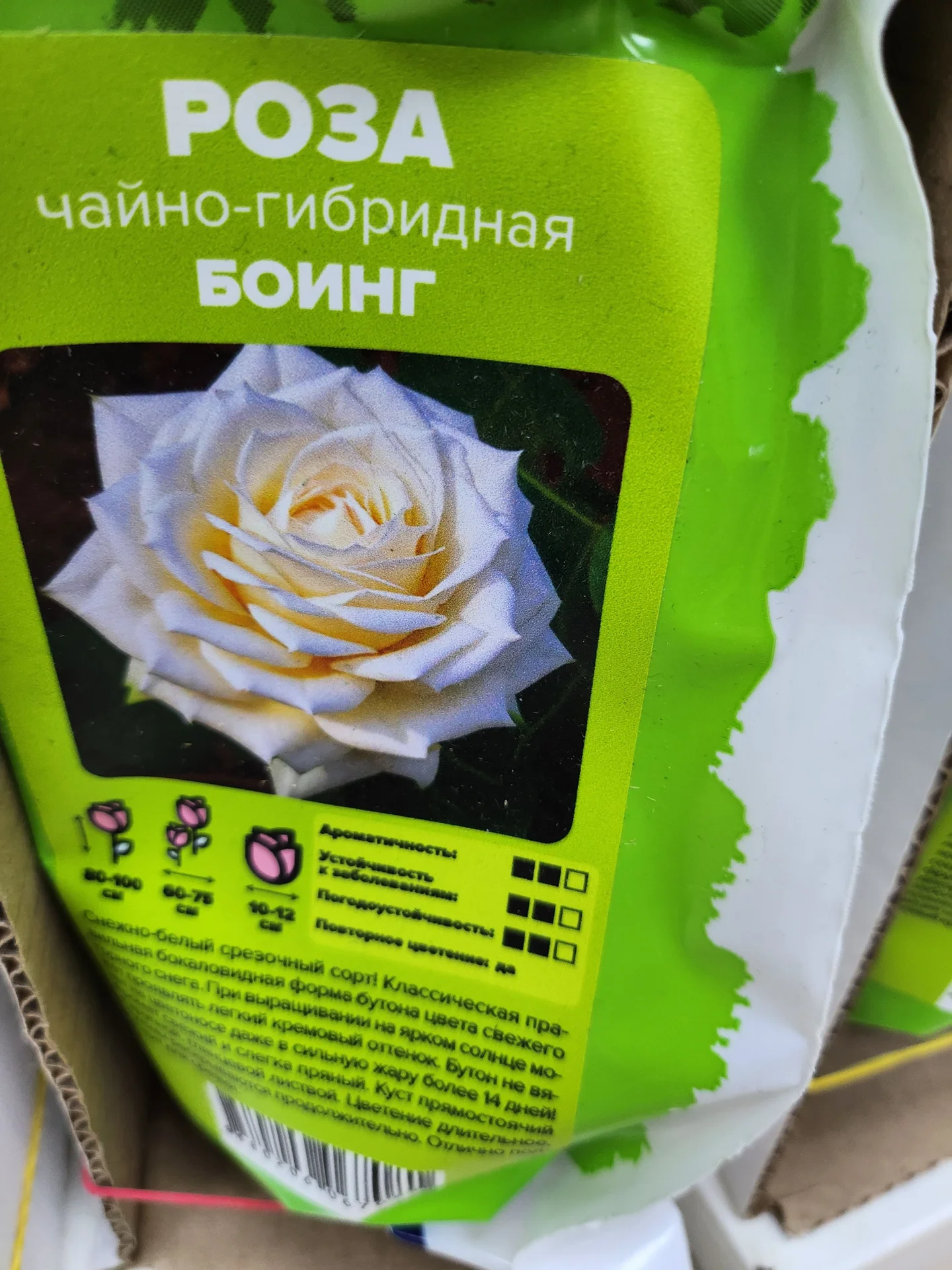 Розы Сибири!!! - миниатюра 4