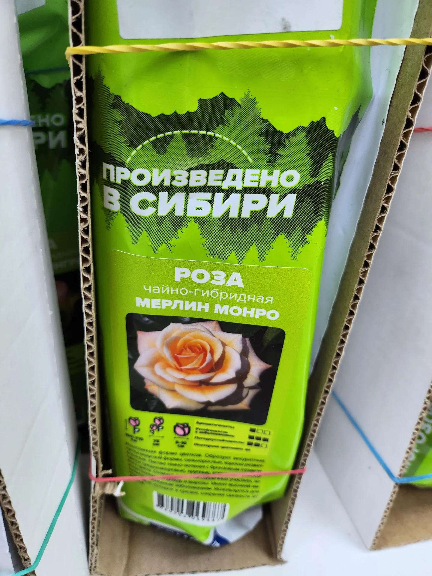 Розы Сибири!!! - миниатюра 10