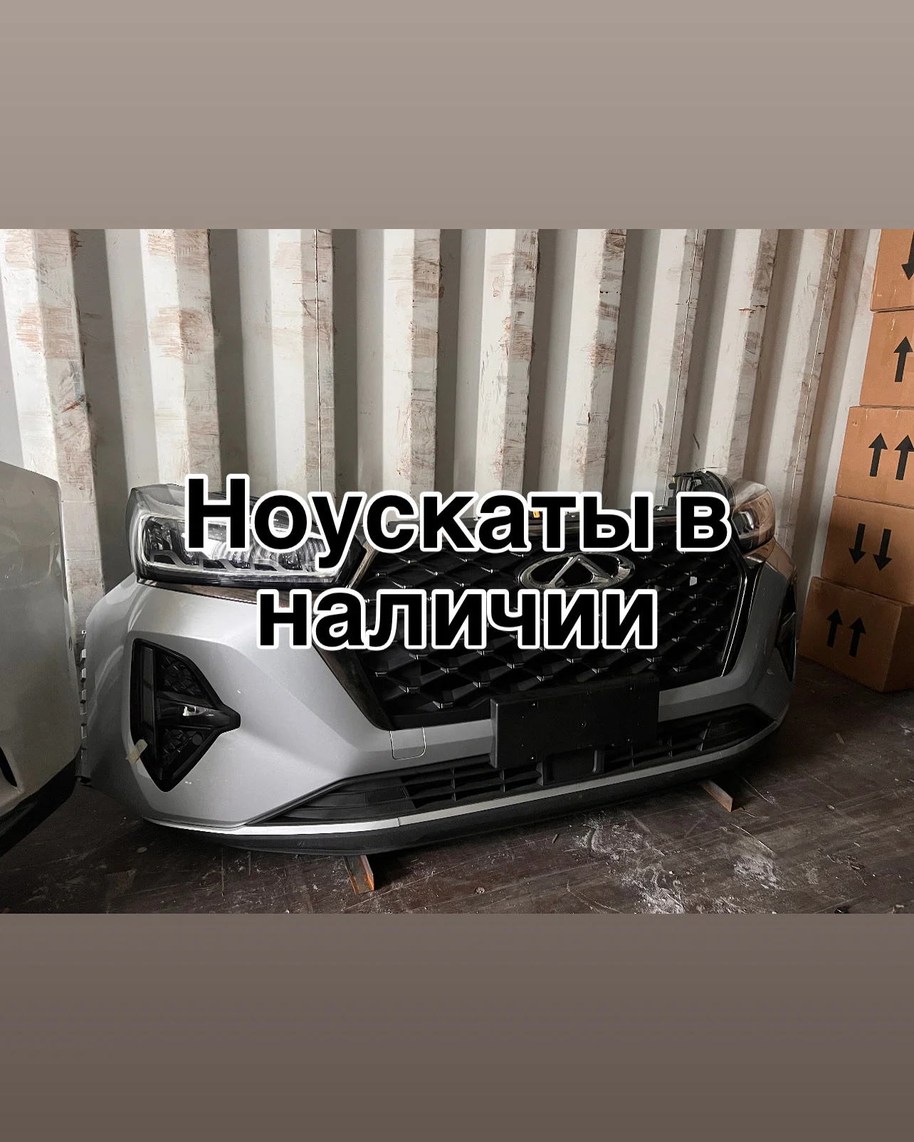 Ноускат - миниатюра 9