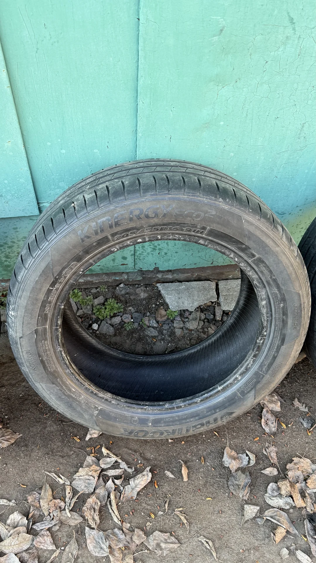 Hankook Kinergy Eco 205/55 r16 - миниатюра 4