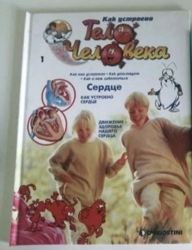Энциклопедия «Как устроено сердце» - изображение 1