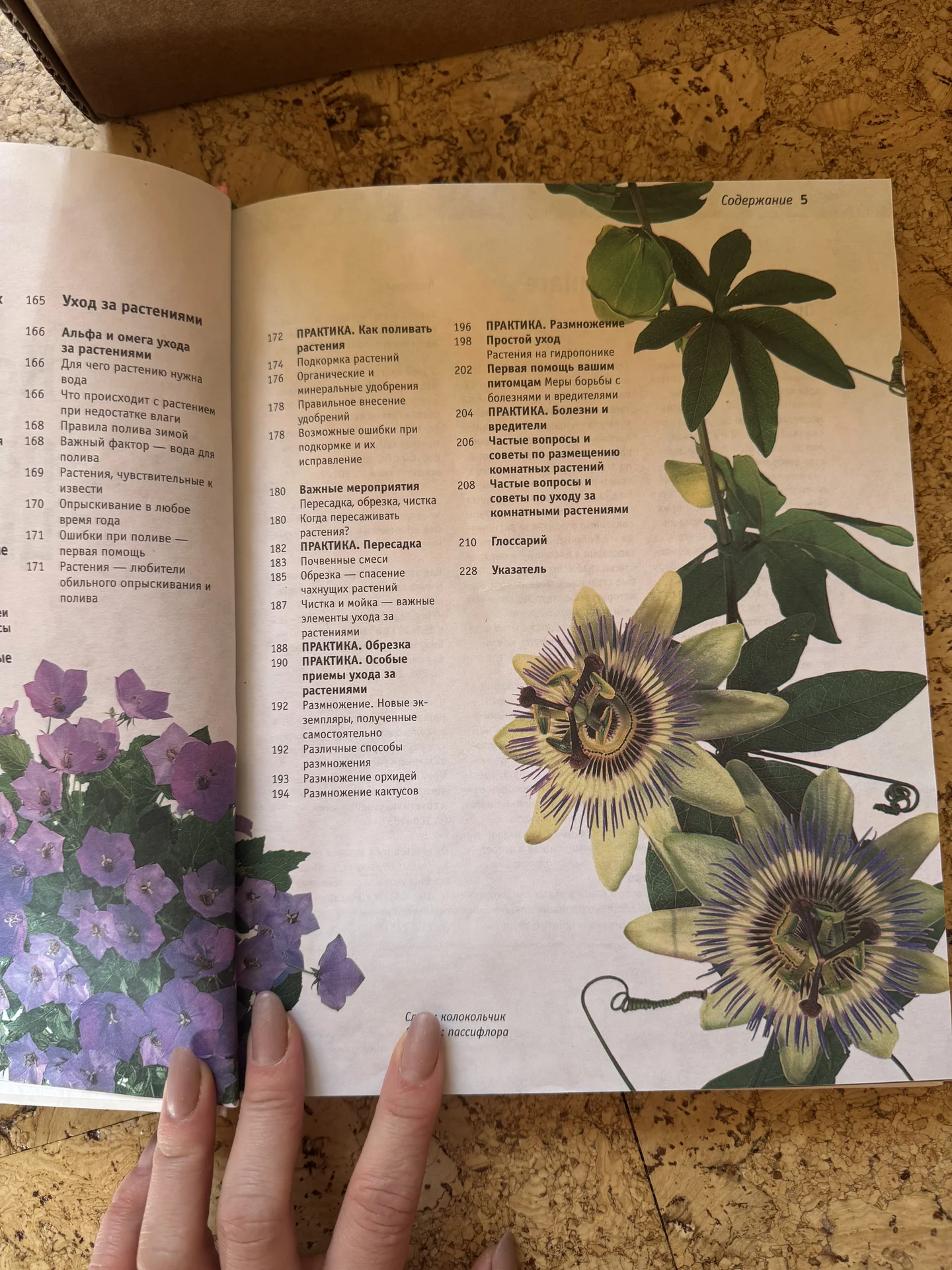 Книга про комнатные растения - миниатюра 2