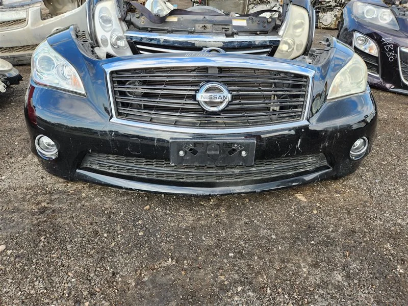 Nose cut Infiniti M 37 Y51 2012 - изображение 1