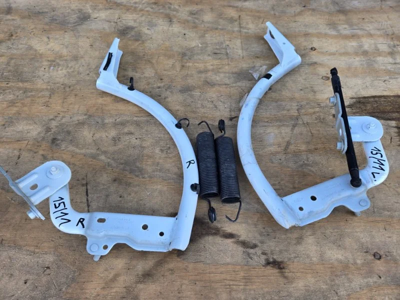 Петля крышки багажника Ford Focus 3 ХЭЧБЭК PNDA - миниатюра 6
