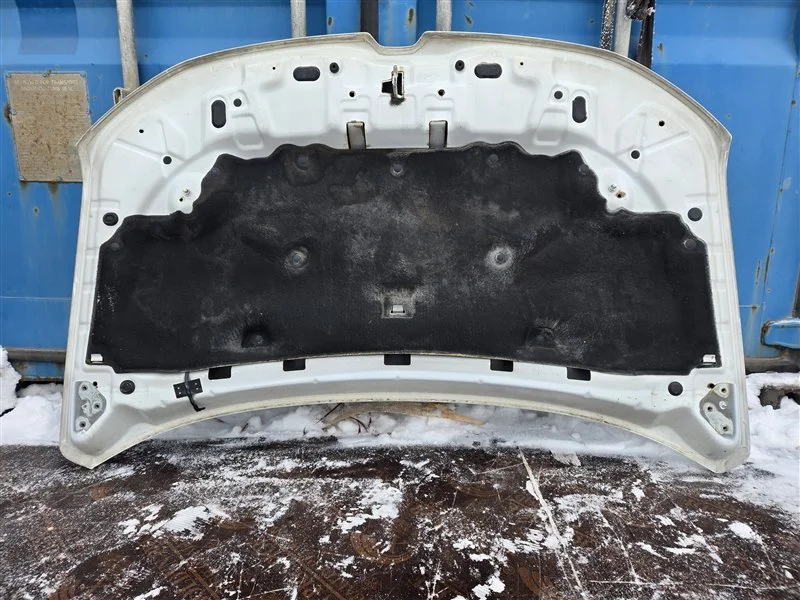 Капот RENAULT Duster 2 2.0 2020 - миниатюра 10