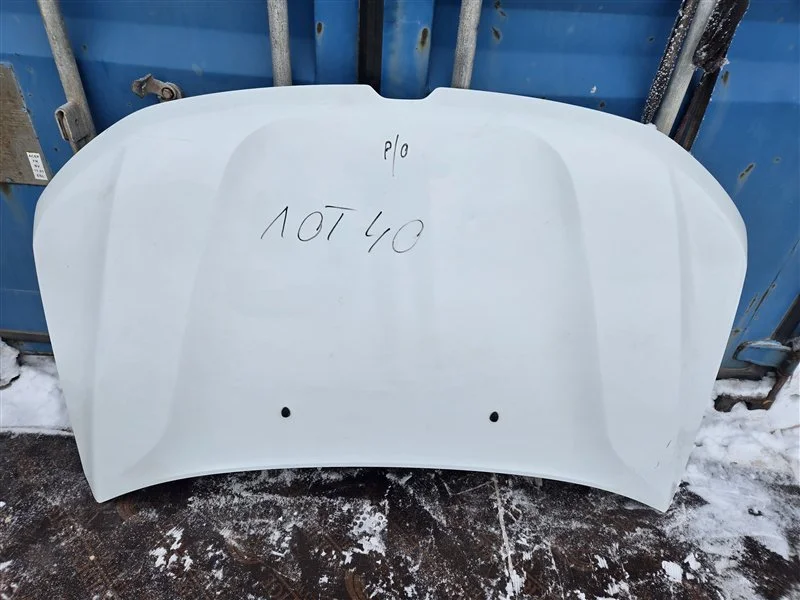 Капот RENAULT Duster 2 2.0 2020 - миниатюра 6
