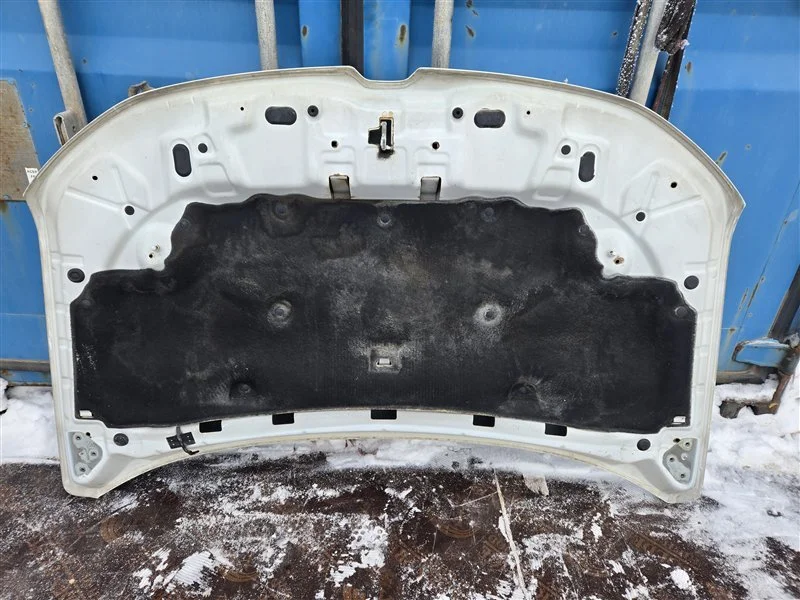Капот RENAULT Duster 2 2.0 2020 - миниатюра 7