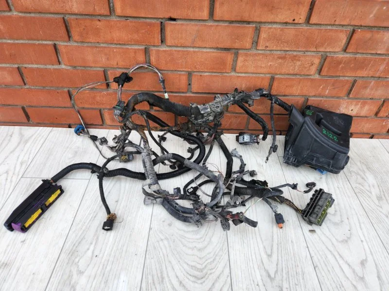 Проводка ДВС Renault Duster 1 F4RE410 2020 - миниатюра 7