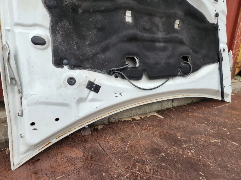 Капот Renault Duster 1 F4RE410 2020 - миниатюра 10