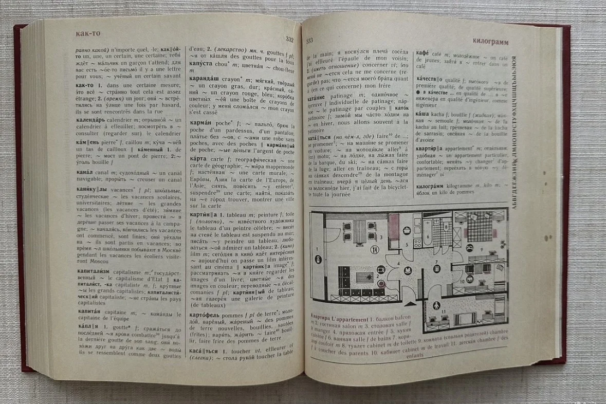 Французско-русский словарь, ред. Гака - миниатюра 8