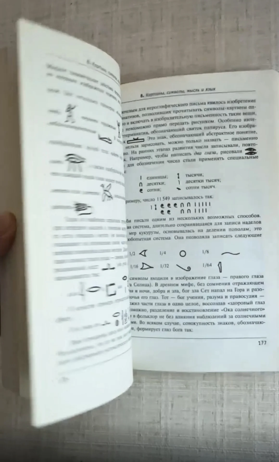 Грегори Р.Л., Разумный глаз - миниатюра 6