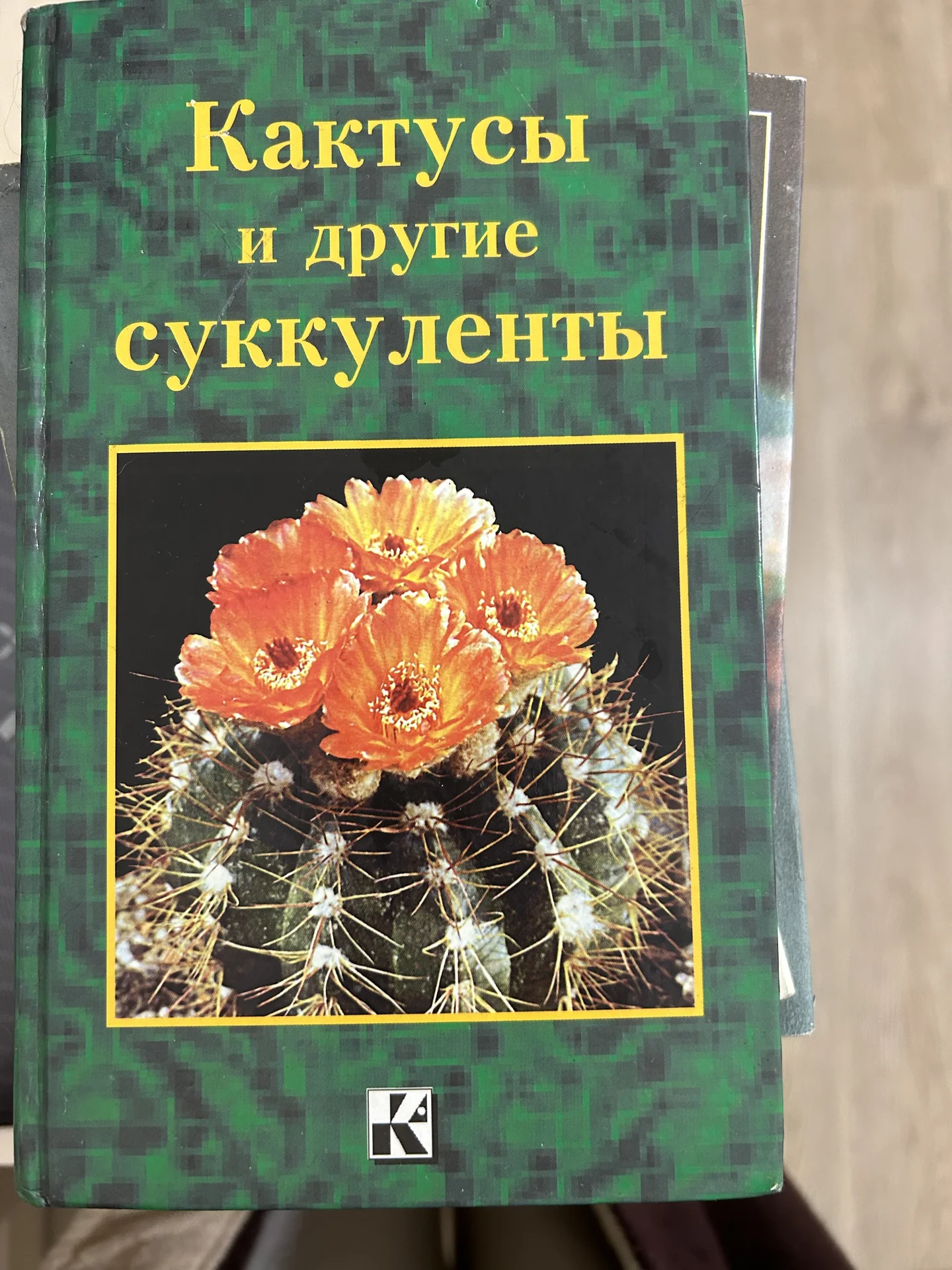 Кактусы - миниатюра 2