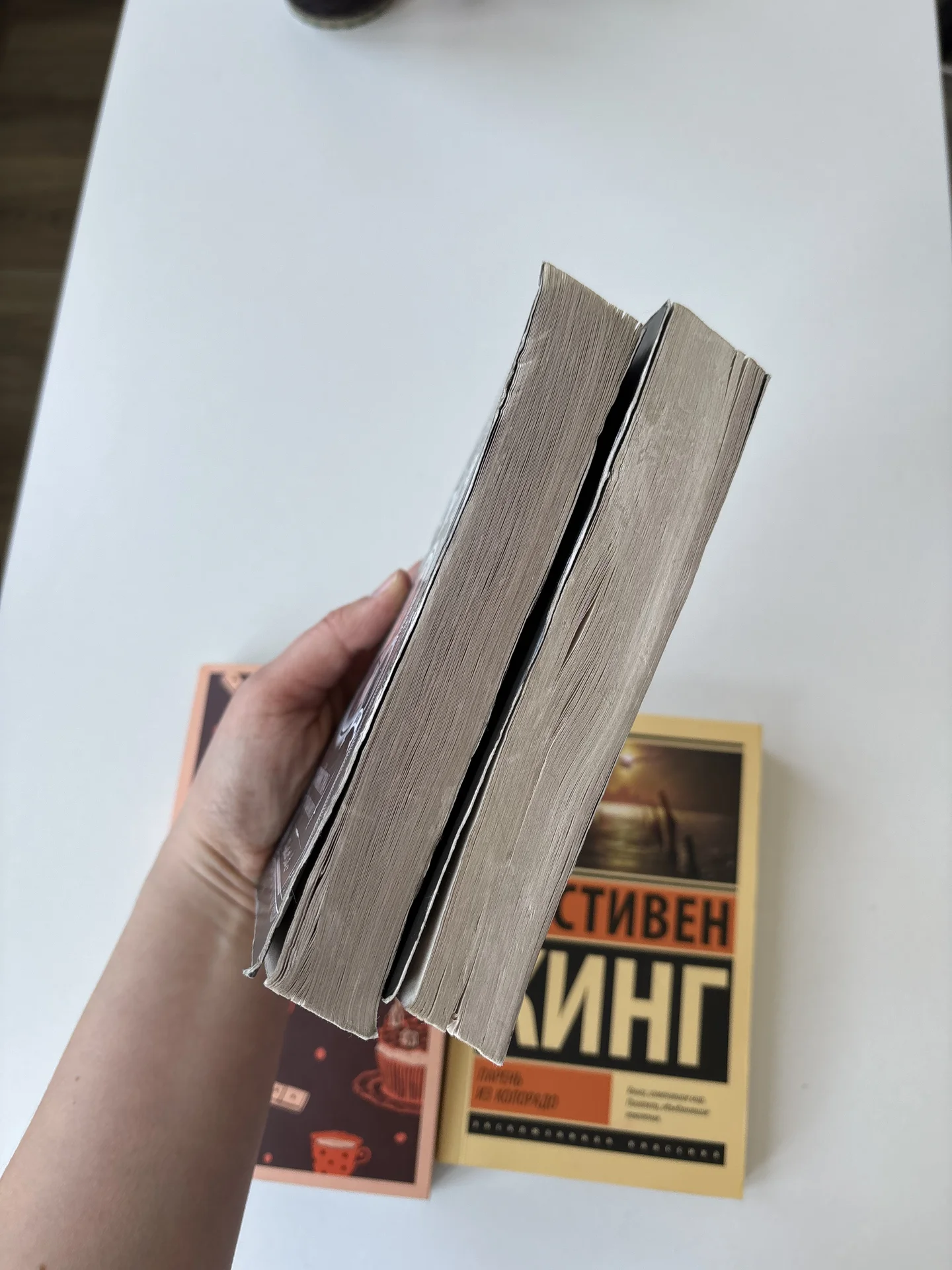 Книги детективы и триллеры (Агата Кристи, Стивен К - миниатюра 2