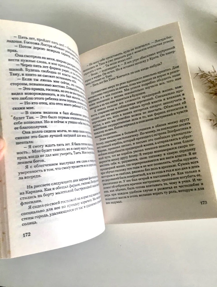 Уилбур Смит Божество реки Книга - миниатюра 3