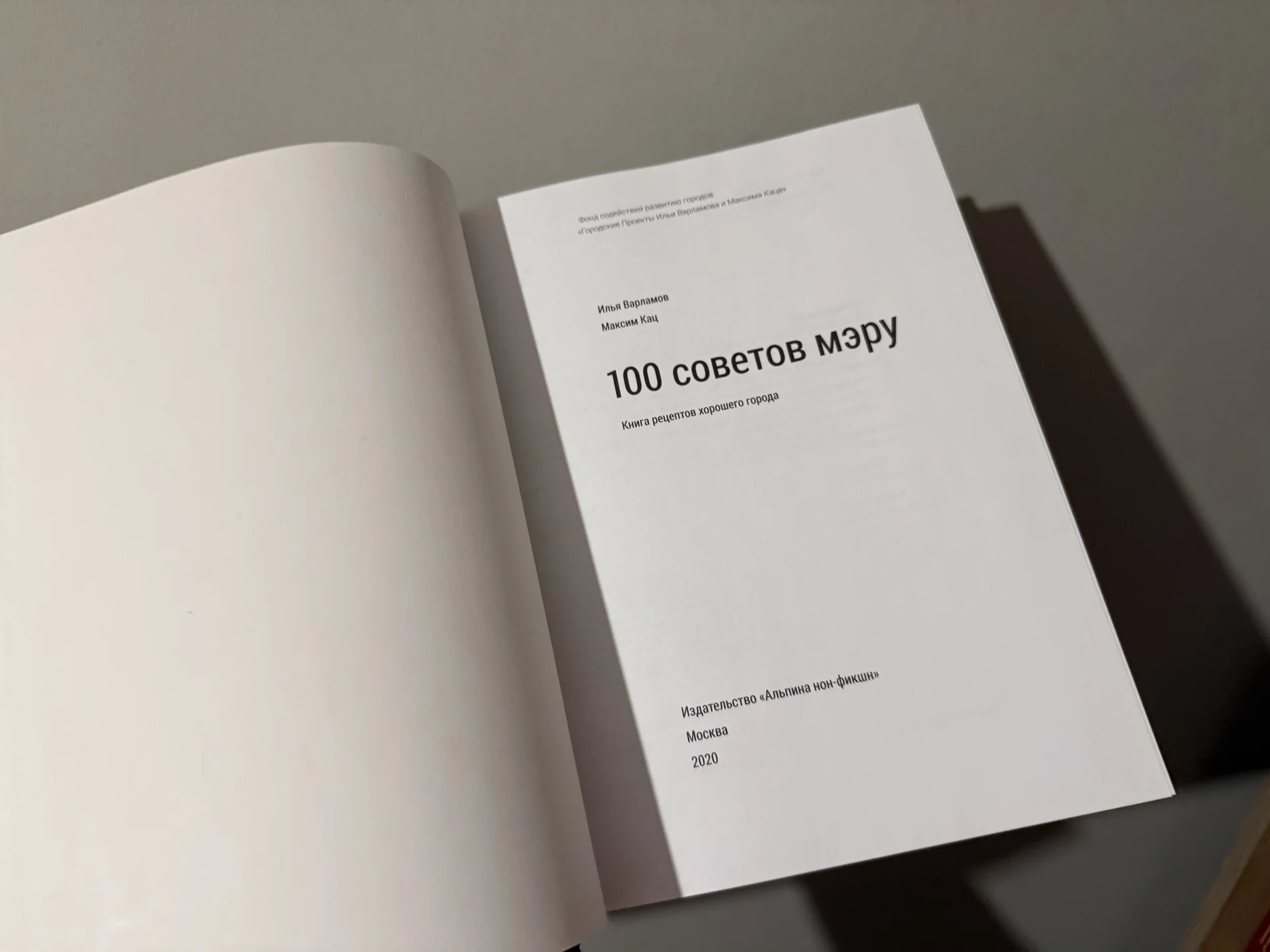 100 советов мэру - миниатюра 2