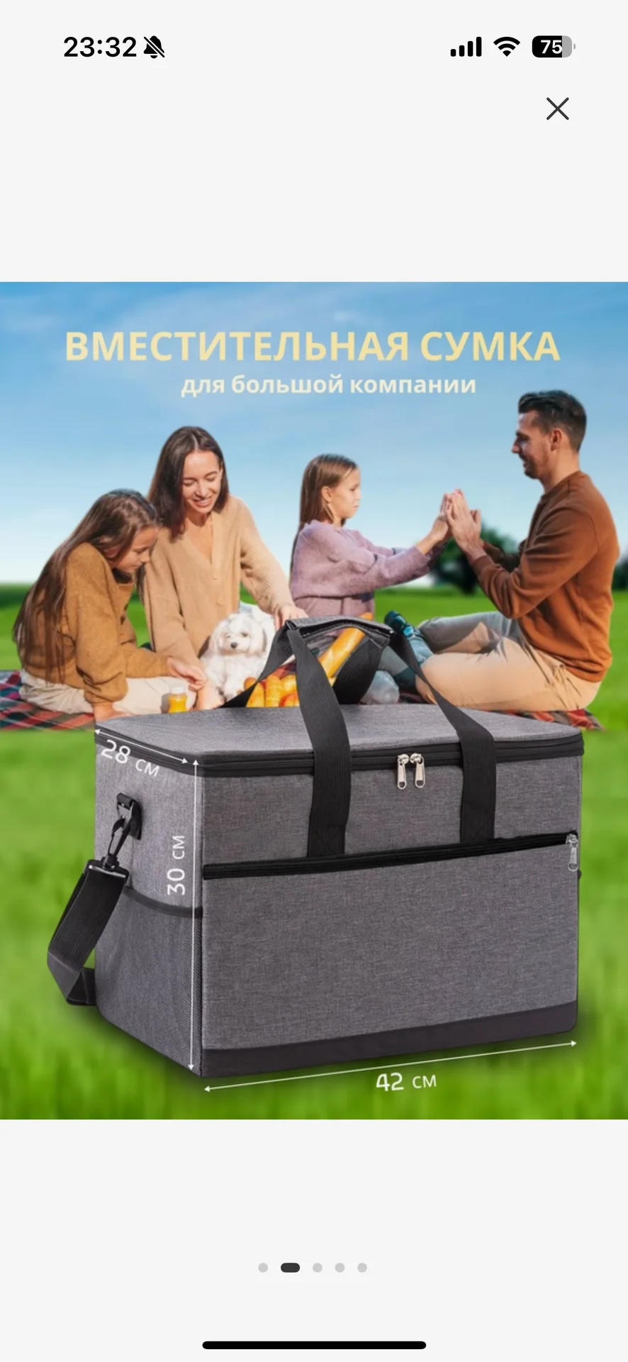 Термосумка Термосумка Холодильник Сумка холодильни - миниатюра 2