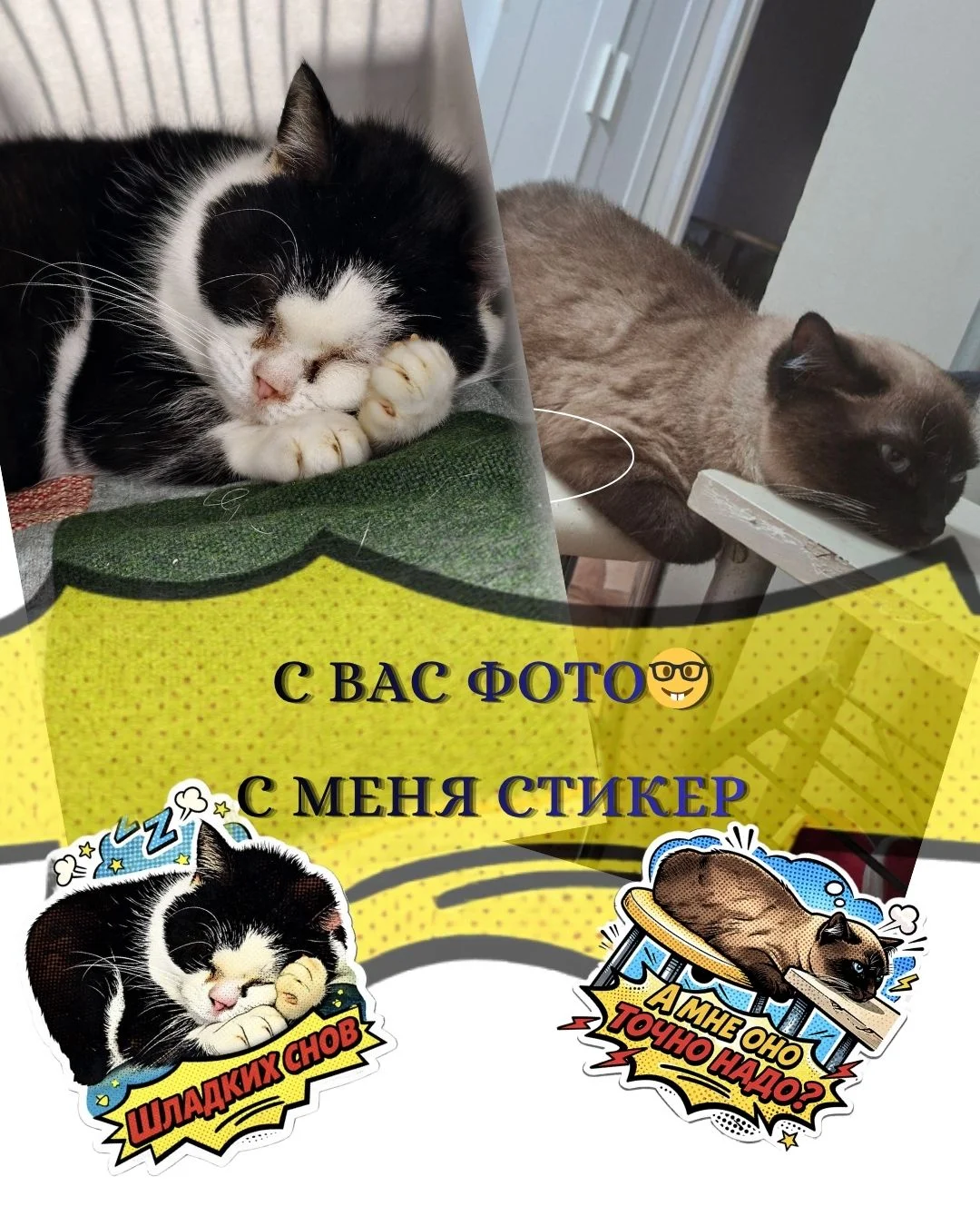 Необычный подарок стикер-пак из ваших фото онлайн - миниатюра 2