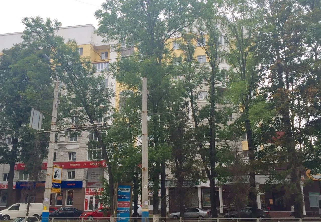Евро двушка в центре города - миниатюра 10