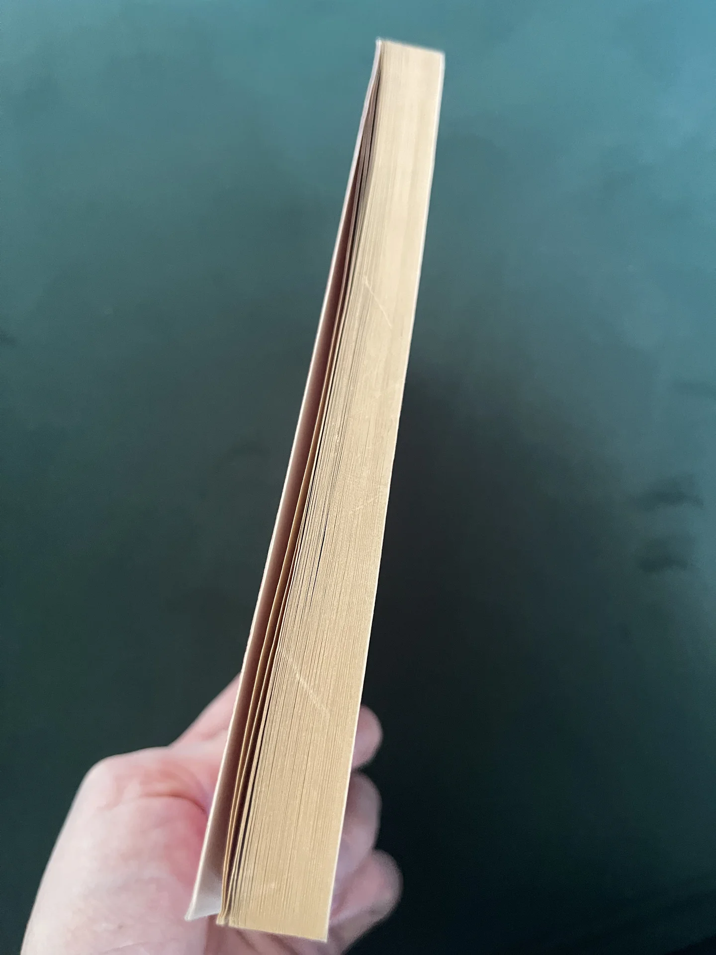 Турбо-суслик книга - миниатюра 3
