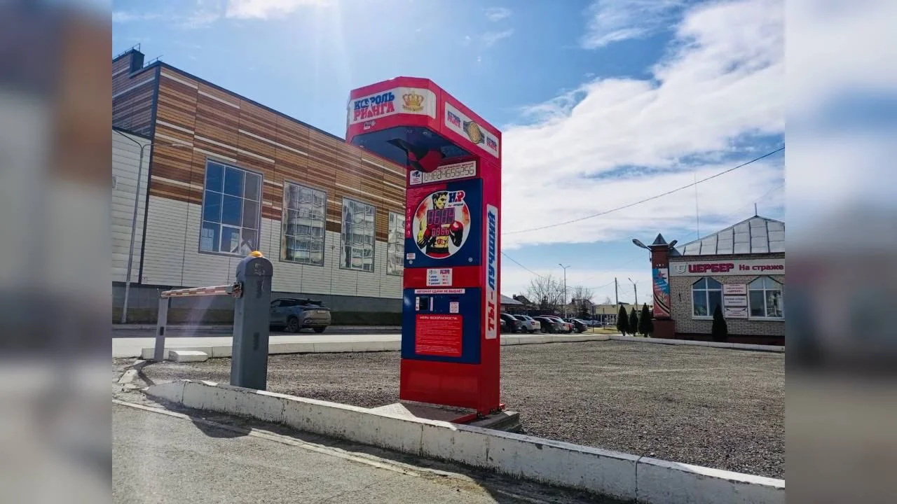 Силомер боксер груша Король Ринга - миниатюра 5