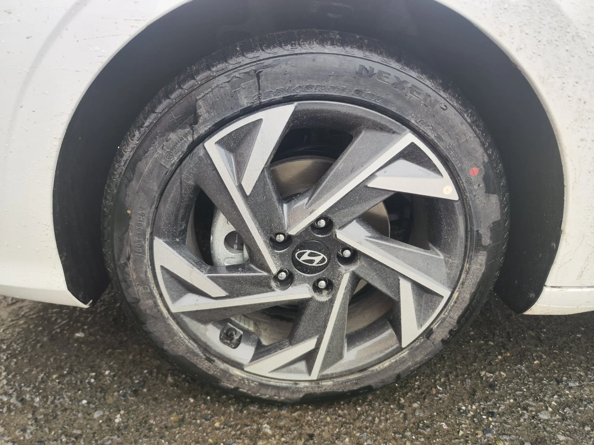 НОВЫЙ Hyundai Elantra 1.5 CVT, 2026, 49 км - миниатюра 9