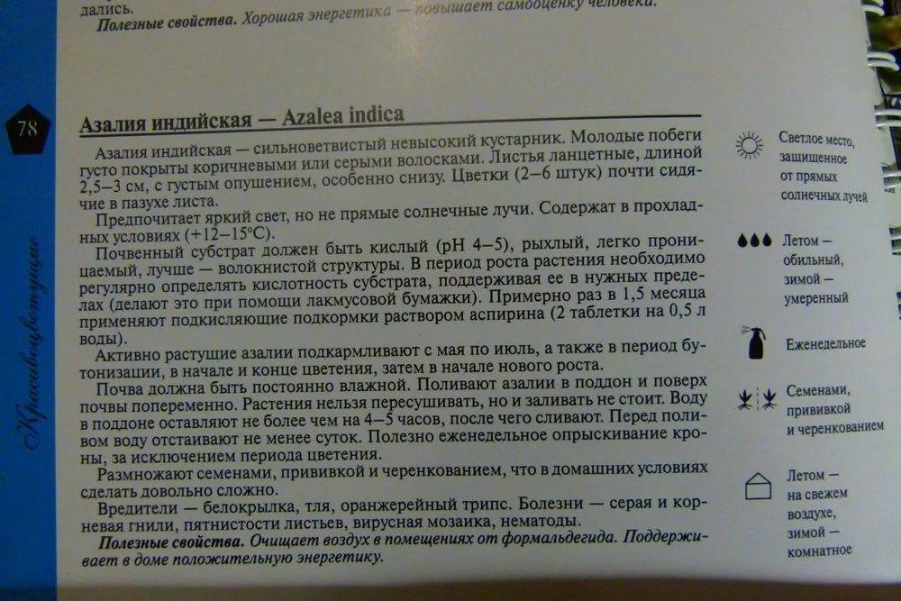 Миллион цветов для красоты вашего дома Князева - миниатюра 5