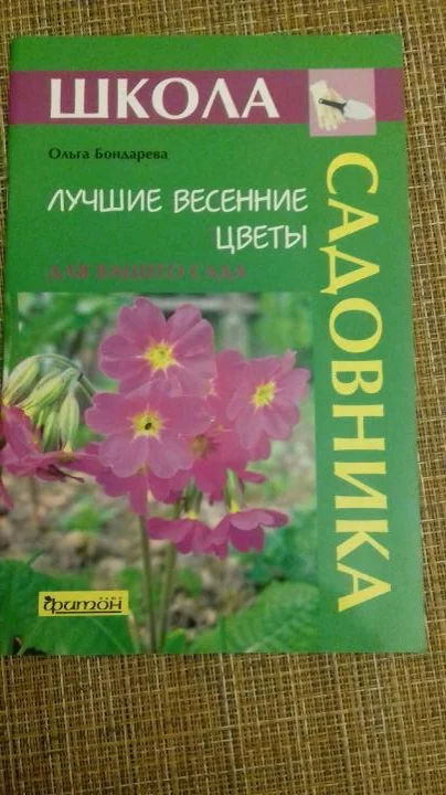 Весенние цветы О. Бондарева - изображение 1