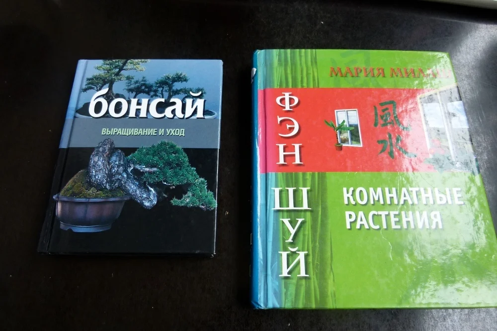 фен шуй цветы - изображение 1