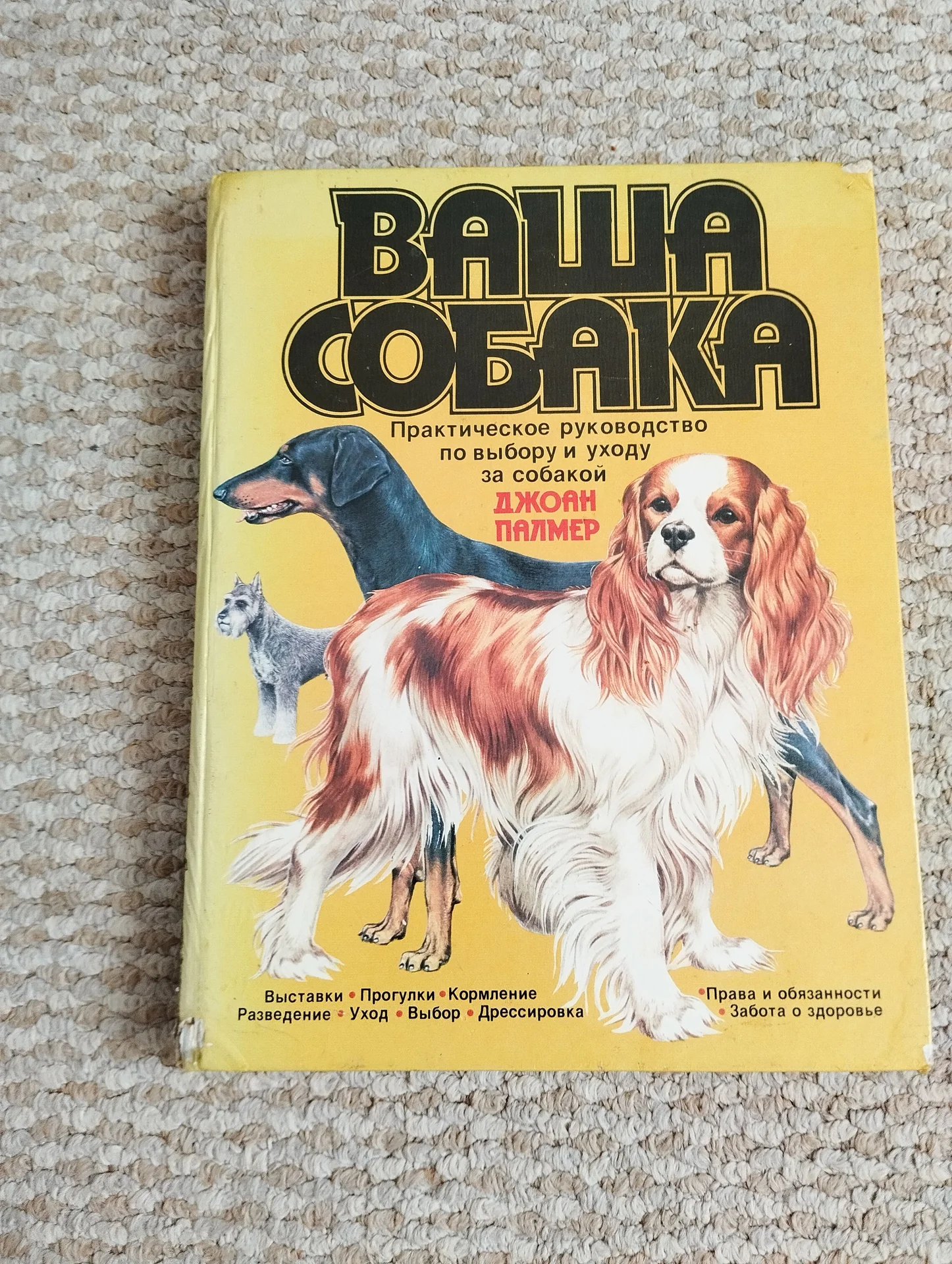 Джон палмер ваша собака - изображение 1