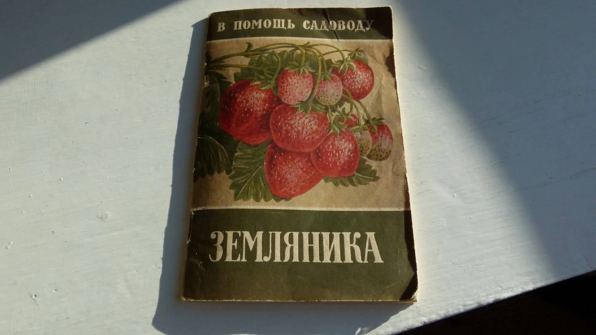земляника.в помощь садоводу - изображение 1