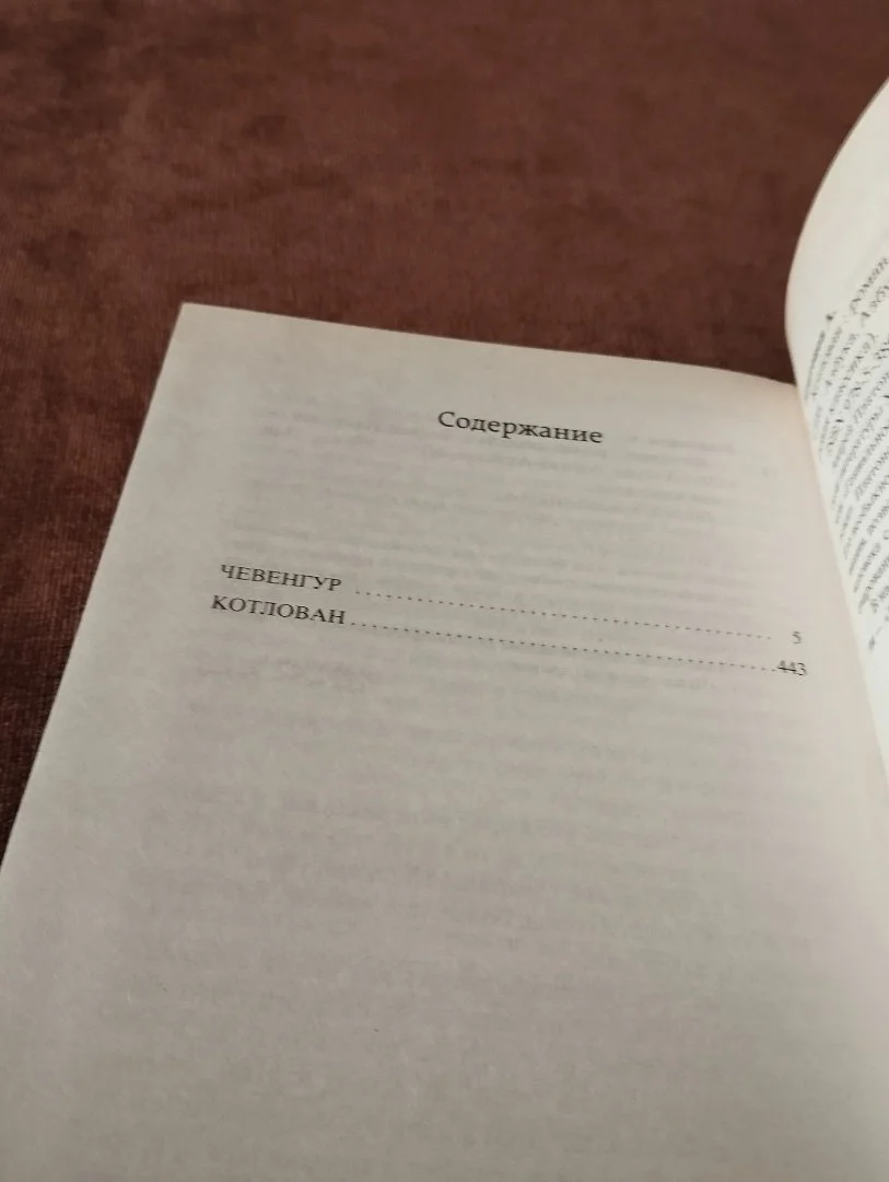 Платонов Чевенгур Котлован - миниатюра 3