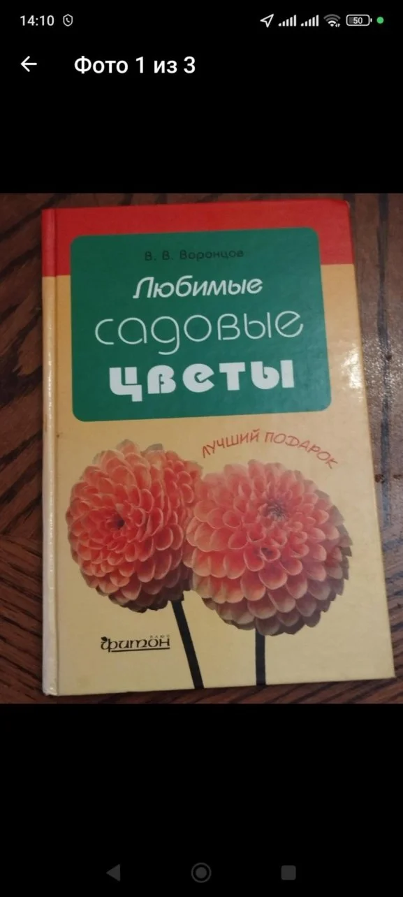 Любимые садовые цветы - изображение 1