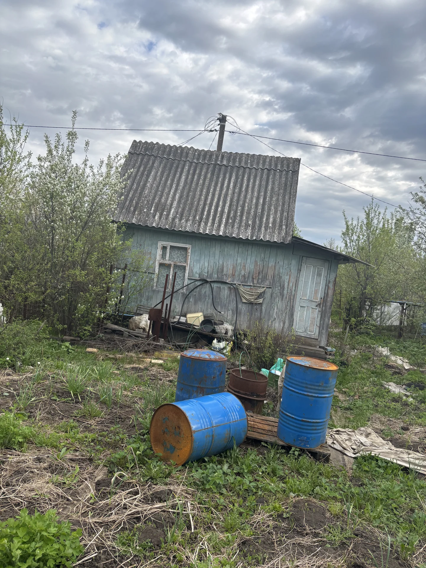 Сад участок - миниатюра 6