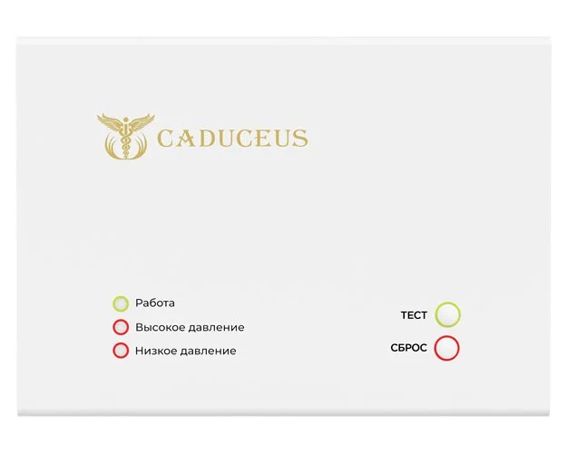 Устройство диспетчеризации кислородного газификатора CADUCEUS - изображение 1