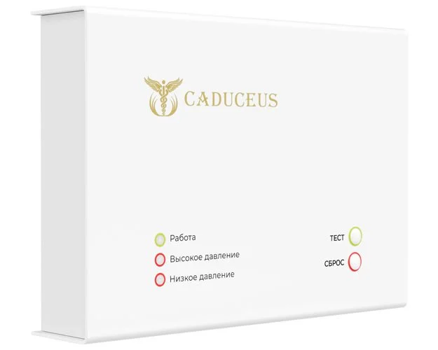 Устройство диспетчеризации кислородного газификатора CADUCEUS - миниатюра 2