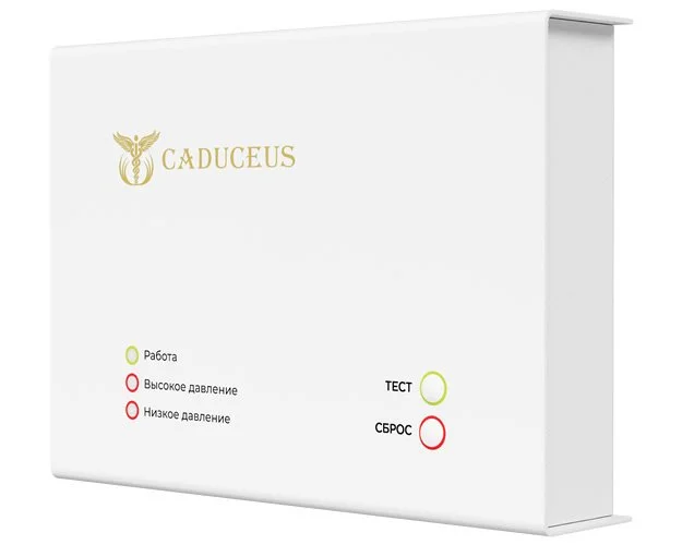 Устройство диспетчеризации кислородного газификатора CADUCEUS - миниатюра 3