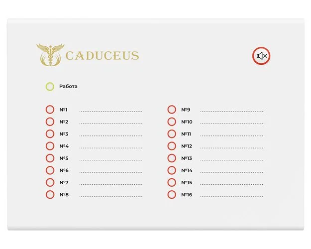Терминал светодиодной индикации CADUCEUS SU-TE - изображение 1