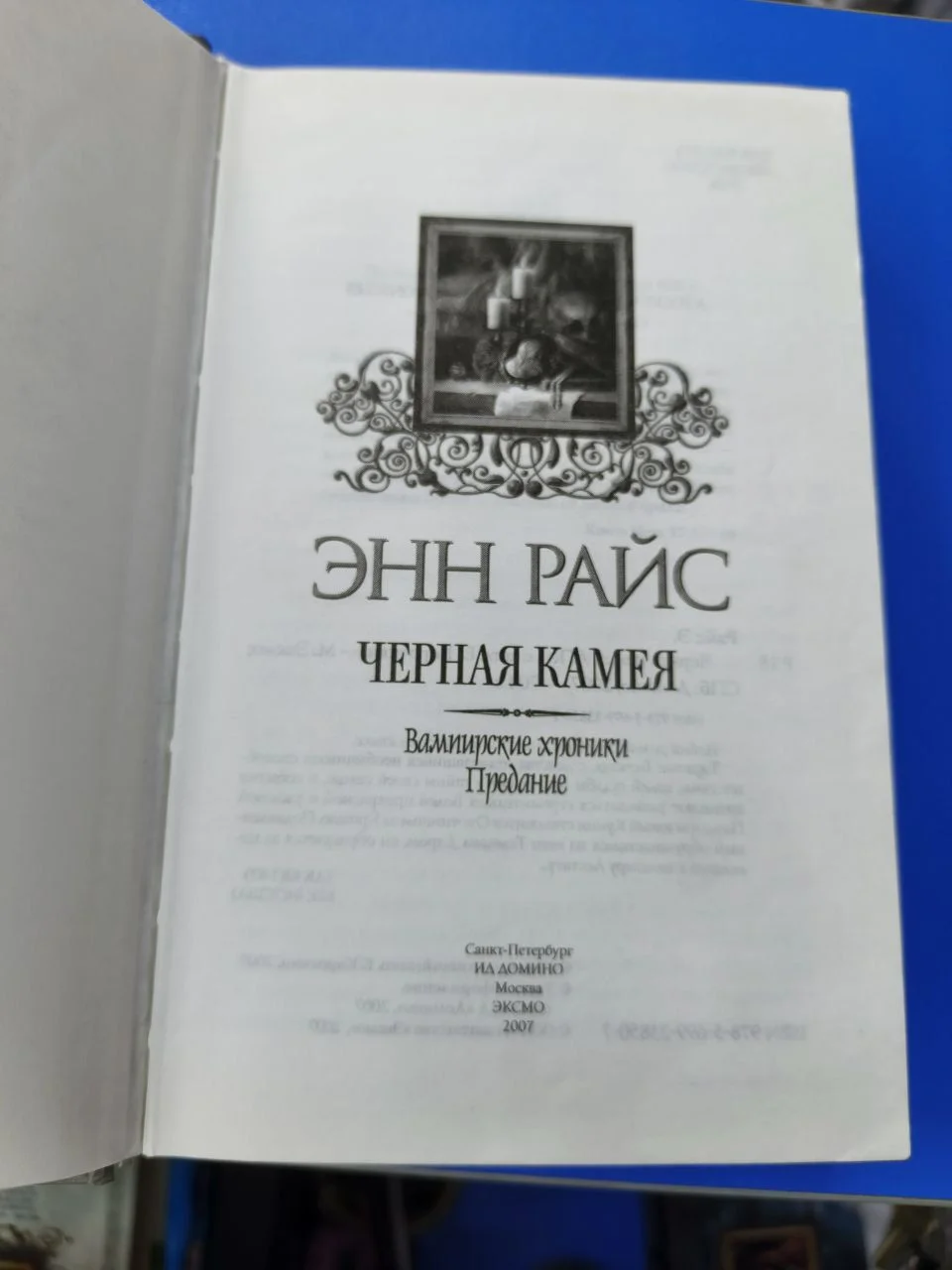 Энн Райс Вампирские хроники - миниатюра 12