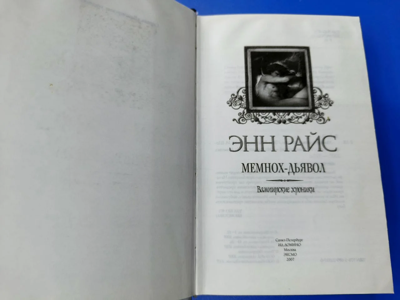 Энн Райс Вампирские хроники - миниатюра 17