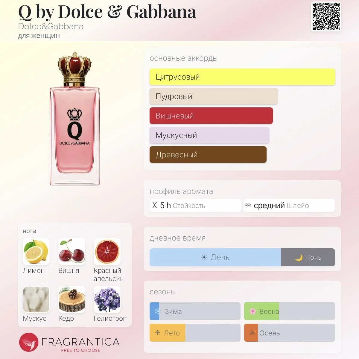 Q by Dolce & Gabbana Духи Распив - изображение 1