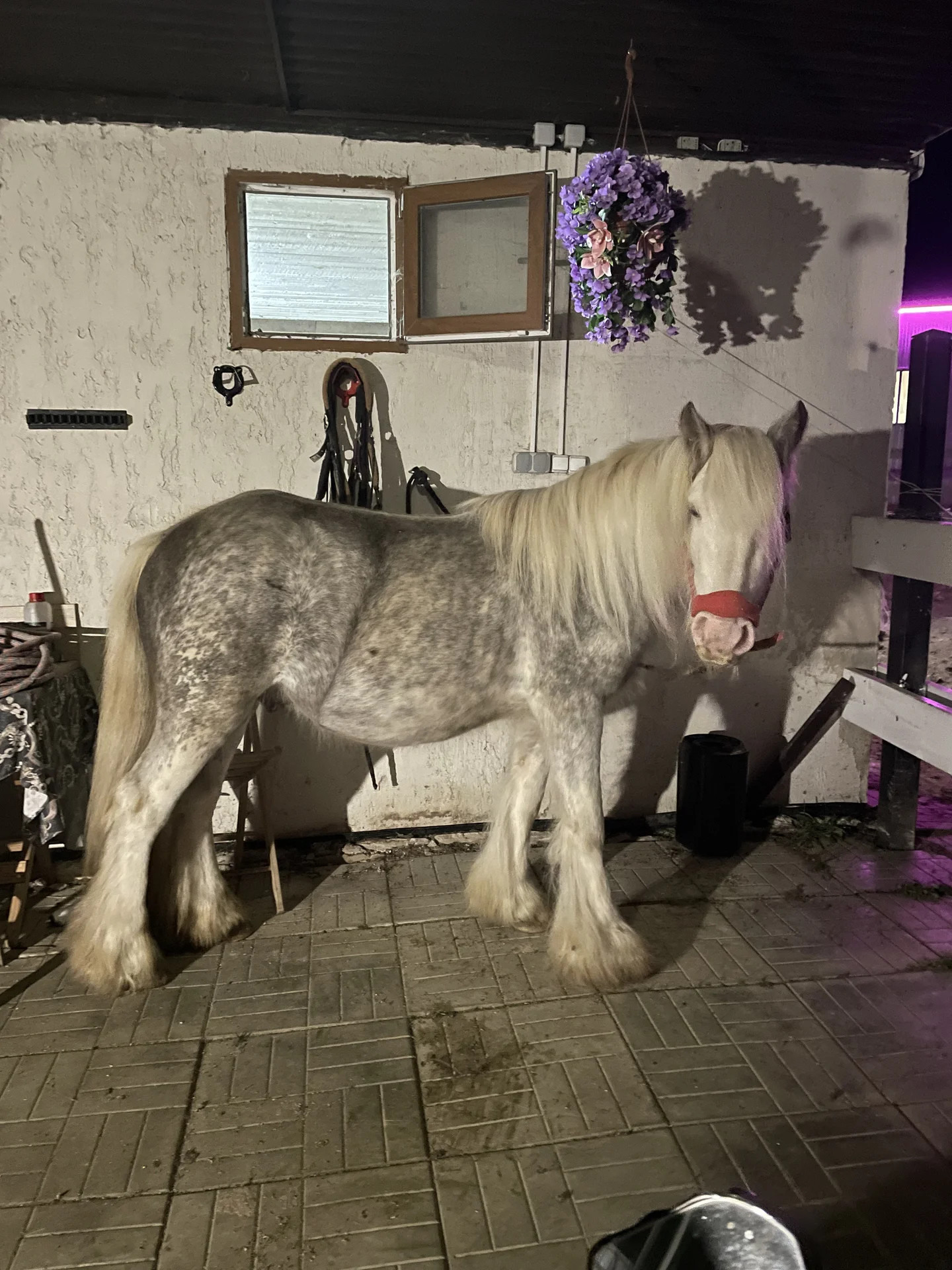 КОТТЕДЖ 120м² С ЧАНОМ И КОНЮШНЕЙ НА НОВОЙ РИГЕ - миниатюра 23
